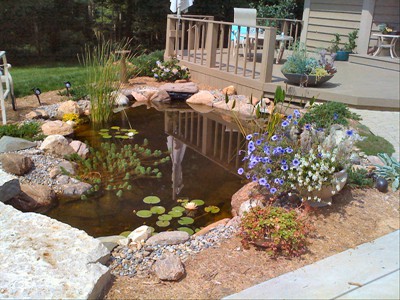 b Landscaping Photos 2010 083