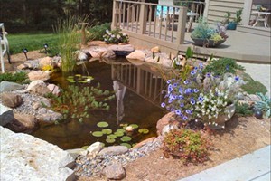 b_landscaping_photos_2010_083